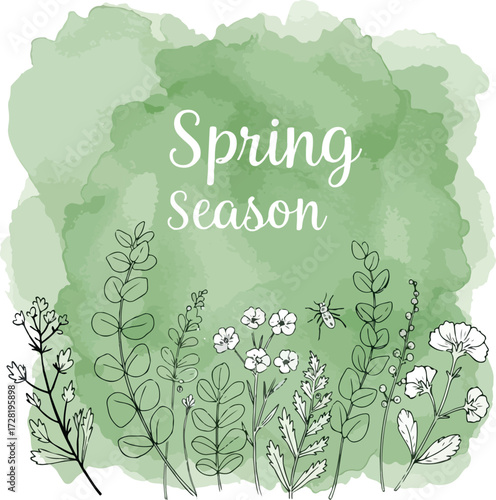 Spring Season Floral Illustration with Delicate Flowers and Greenery.