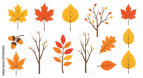 Autumn Leaves, Branches, and Acorns Vector Illustration