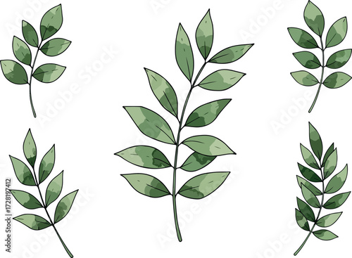 Watercolor botanical illustration of green leaves on white background 1.