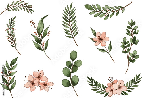 Watercolor floral elements collection with leaves and flowers.