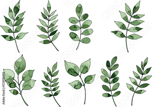 Watercolor painted green leaves collection botanical illustration nature art.