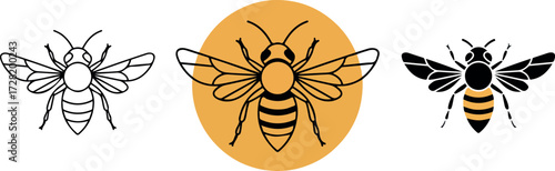 Three bee illustrations in different styles vector art insect design.