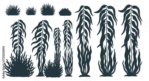 Decorative Seaweed and Bush Clipart Illustrations in Vector Graphics, Coastal Plant Elements