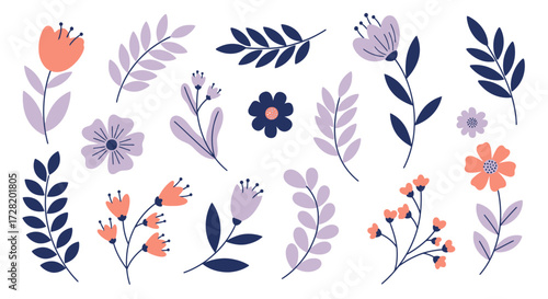 flowers on white background
