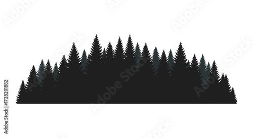 Dense forest of evergreen trees presented as a dark silhouette