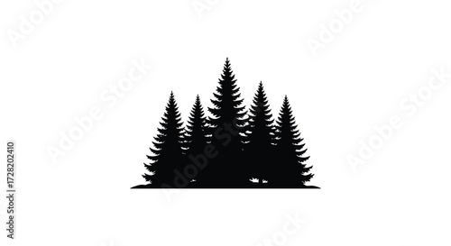 A group of dark evergreen trees against a plain white background silhouette