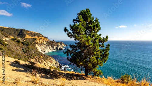 Coastal landscape with a solitary pine tree