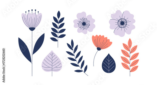 flowers on white background