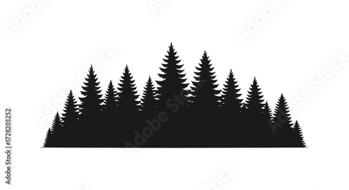 Dense evergreen forest scene with a striking black silhouette