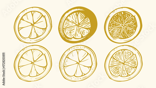 Vibrant golden citrus slices arranged in a stylish pattern, perfect for modern food branding and summer designs