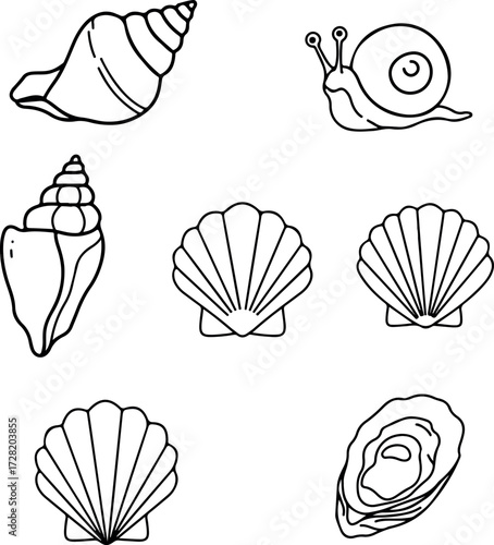 Various seashells and a snail depicted in simple black and white line art.