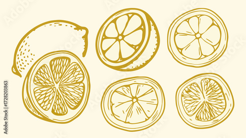 Vibrant golden lemon slices and whole fruit illustration, perfect for refreshing designs and healthy lifestyle content