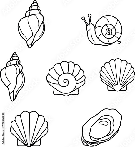 Various seashells and a snail illustration in black and white.
