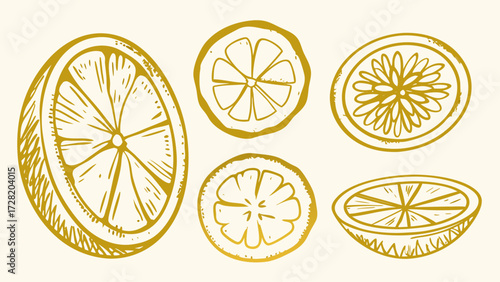 Hand-Drawn Slices of Citrus Fruits in Golden Hues, Perfect for Summer Recipes and Refreshing Drink Illustrations, Adding a Touch of Sunshine to Your Designs