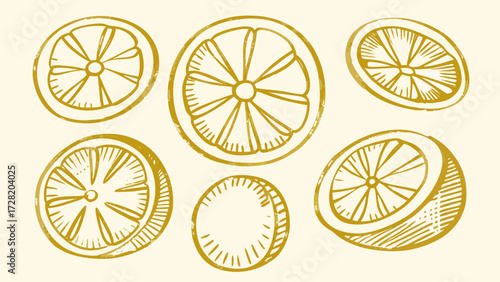 Hand drawn style citrus fruit slices for vibrant summer designs, golden lemon or orange graphic art, fresh and juicy, perfect for healthy lifestyle promotion