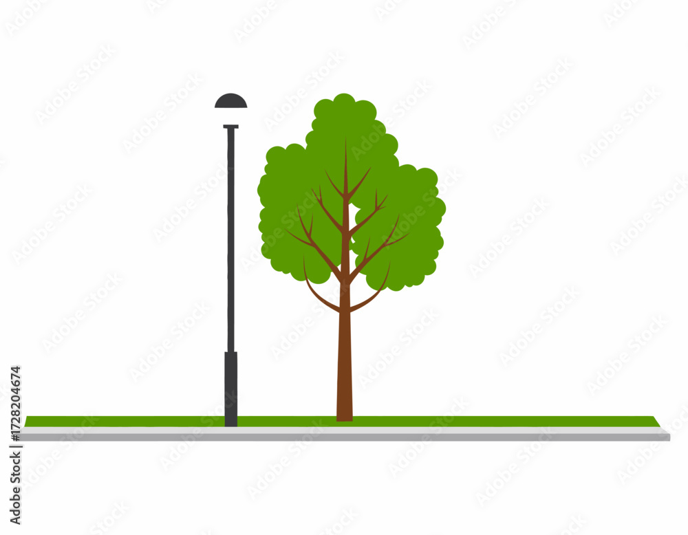 Fototapeta premium green oak tree