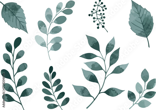 Watercolor botanical leaves collection isolated on white background elegant design.