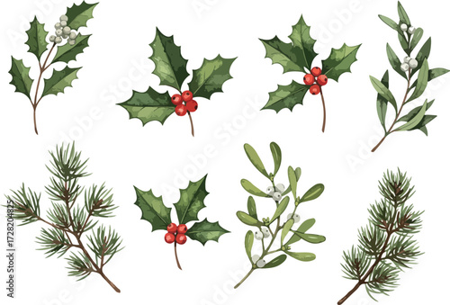 Watercolor Christmas botanical elements collection with holly and mistletoe.