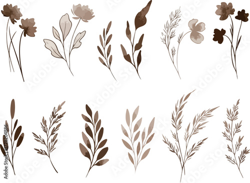 Watercolor floral elements isolated on white background elegant botanical design.