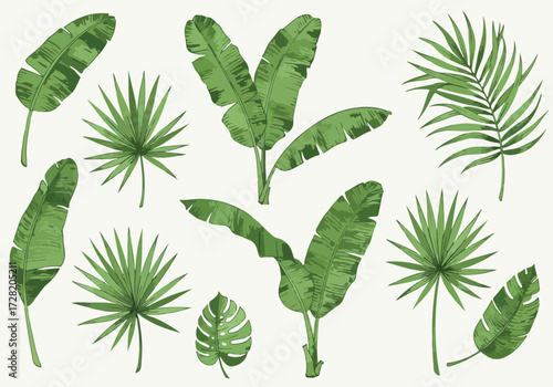 Watercolor tropical leaves collection isolated on light background.
