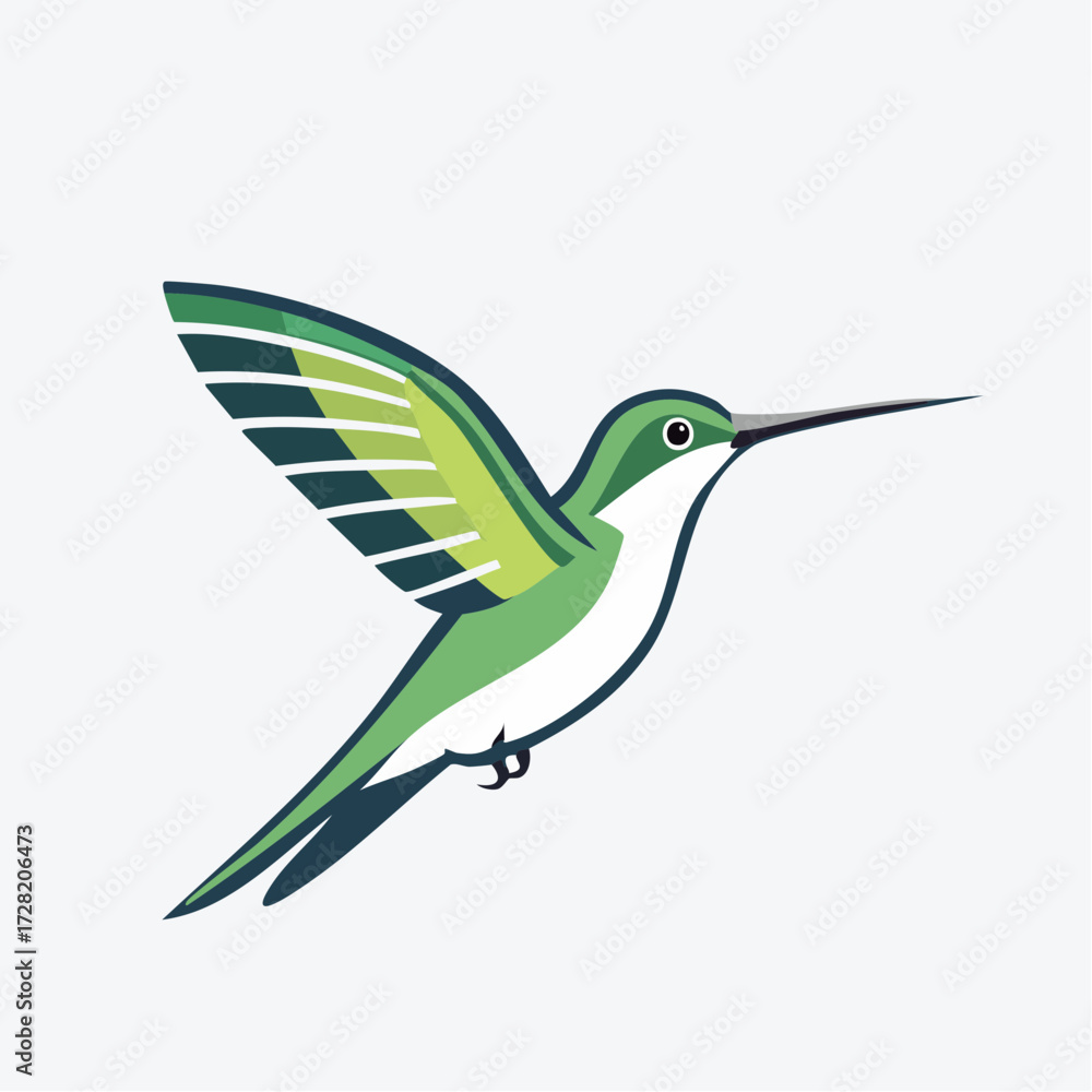 Fototapeta premium vector of a hummingbird in flight