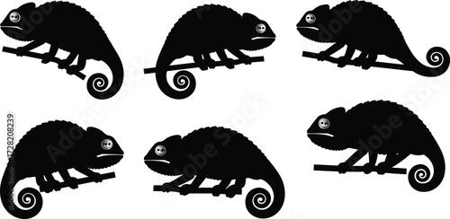 Chameleon silhouettes, perched chameleon, branch poses, curled tail, distinct eye, reptile shapes, wildlife illustration, vector graphic, animal design, nature art