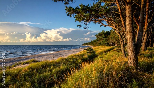 Coastal landscape with pine trees and beach