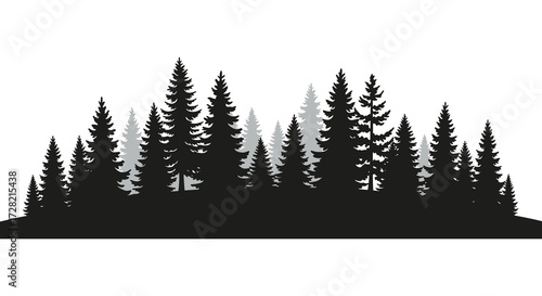 Dark forest of evergreen trees against a bright white background silhouette