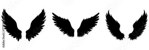 A detailed silhouette of a majestic eagle in flight its wings outstretched against a stark white background isolated on white background