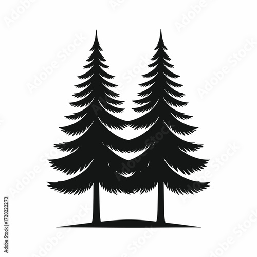 set of pine trees