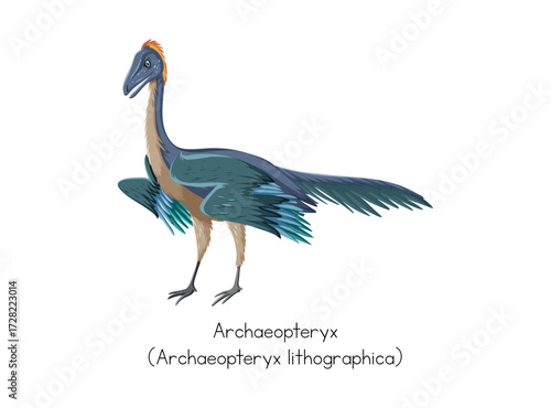 Archaeopteryx feathered dinosaur bird realistic illustration evolution concept