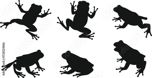 Frog silhouettes, jumping frog, sitting frog, crouching frog, amphibian poses, black frog shapes, wildlife illustration, animal anatomy, vector art
