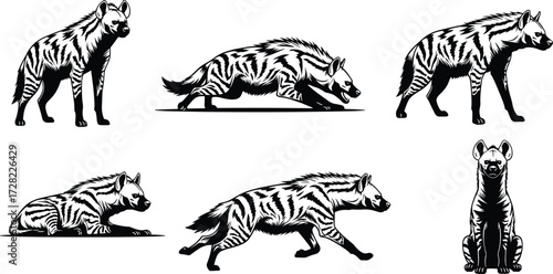 Hyena silhouette, African wildlife, animal poses, stalking hyena, running hyena, sitting hyena, black and white, vector art, nature, stock illustration