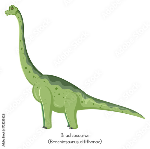 Brachiosaurus dinosaur cartoon character standing isolated on white background