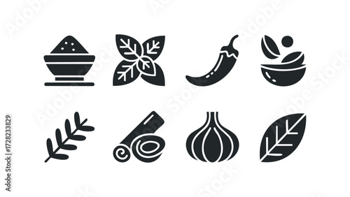 Herbs spices garlic chili pepper cinnamon branch and powder. Vector hand drawn illustration