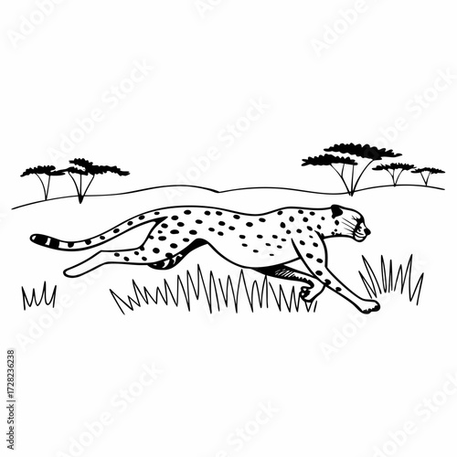  Running Cheetah Illustration