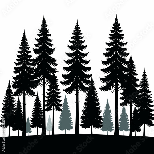 winter landscape with trees