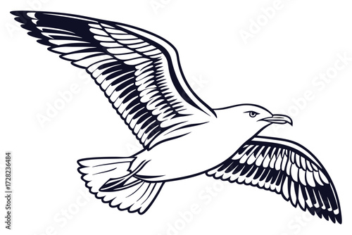 Flying Seagull Illustration