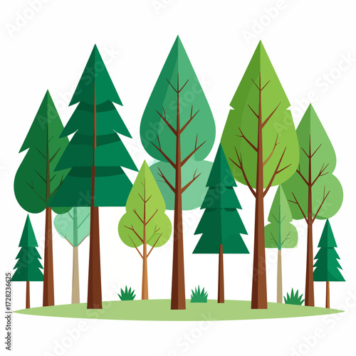 green trees in the forest