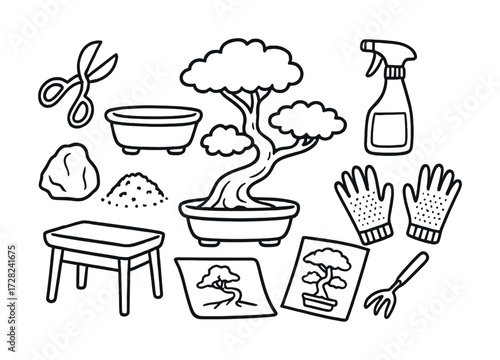 Essential tools and supplies for bonsai care and maintenance