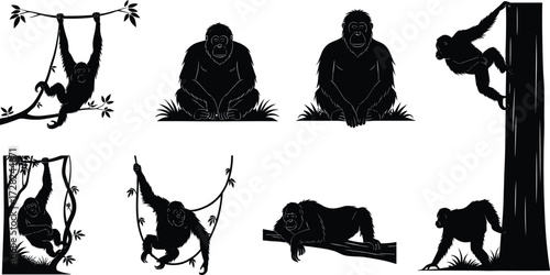 Orangutan, silhouette, climbing, hanging, sitting, swinging, resting, black and white, tree, jungle, nature, animal, primate, vector, graphic, behavior, posture, wildlife, arboreal, illustration