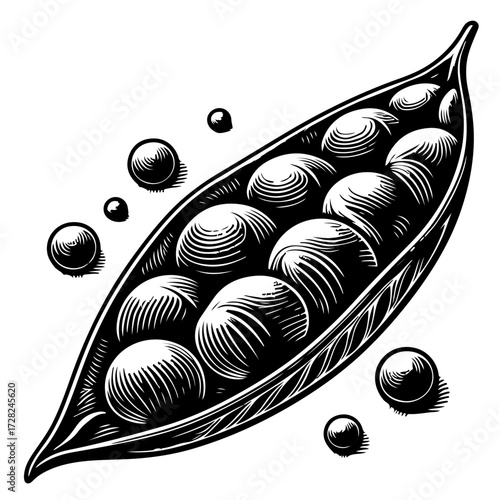 Illustration of a pea pod with several peas inside and some peas outside on a white background art