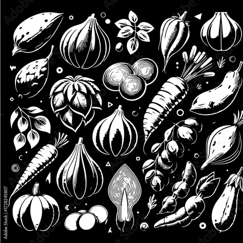 Illustration of various vegetables including carrots, pumpkins, garlic and eggplant on a black background