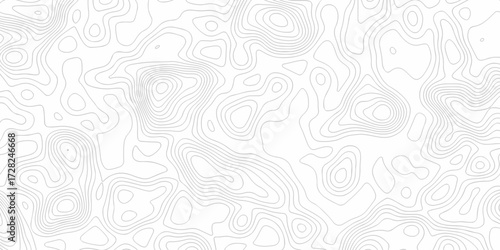 Minimal white line geometric grid outline curve counter map and wavy topography relief discovery area white, black line texture background.	