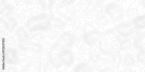 Minimal white line geometric grid outline curve counter map and wavy topography relief discovery area white, black line texture background.	
