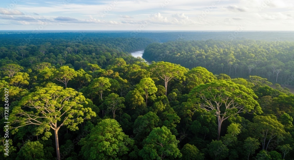 Fototapeta premium Vast, vibrant rainforest canopy stretches to the horizon with a winding river reflecting the sky