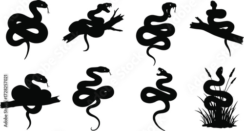Snake silhouettes, coiled snake, hissing snake, slithering snake, branch poses, tall grass pose, black snake shapes, reptile illustration, vector graphic