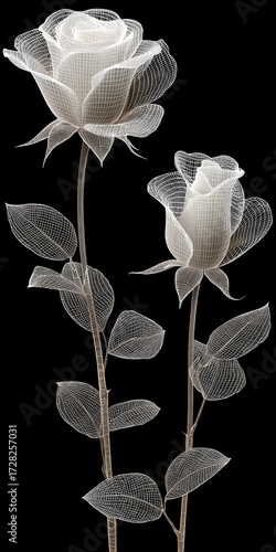 Two elegant, white roses with delicate, translucent, wire-frame petals and leaves, showcasing a beautiful and artistic representation of floral design against a striking black background.