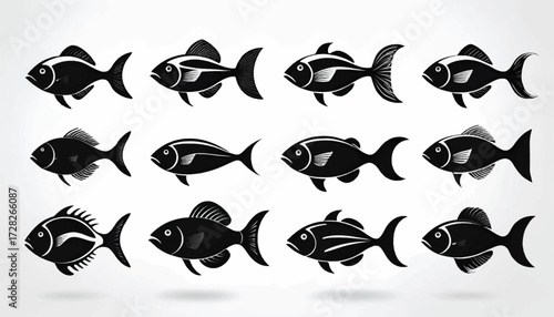 A collection of twelve stylized black silhouette illustrations of various fish species, displayed in three rows against a light background.