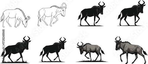 wildebeest, sketch, silhouette, shading, drawing, animal, progression, illustration, realistic, art, anatomy, texture, fur, wildlife, stages, rendering, educational, development, pose, transformation